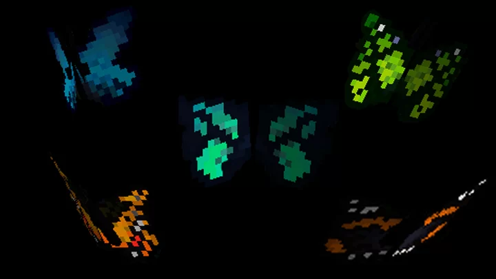 5 видов бабочек