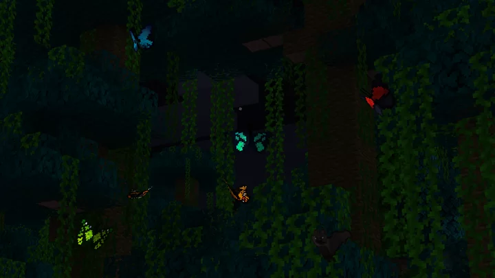 Бабочки ночью