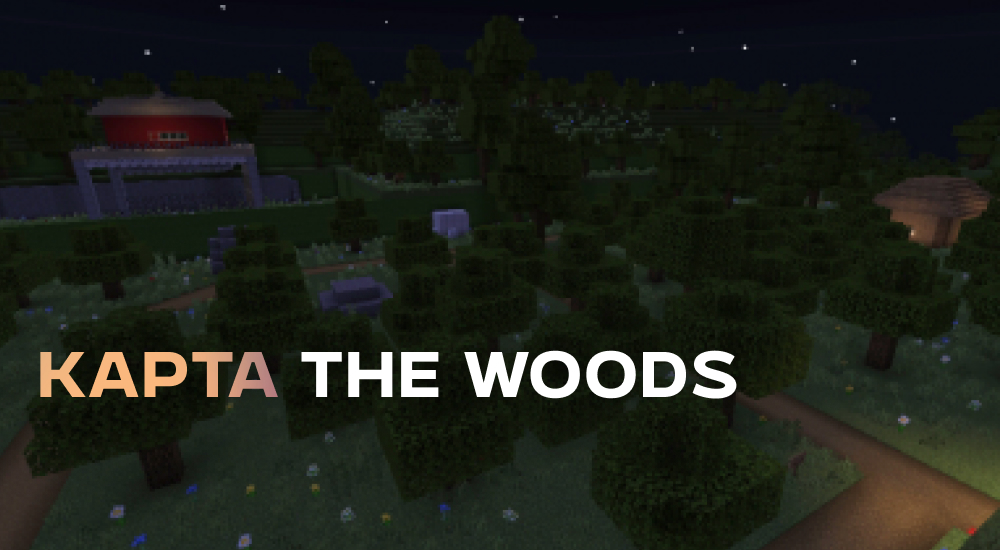 Статья Карта: The Woods