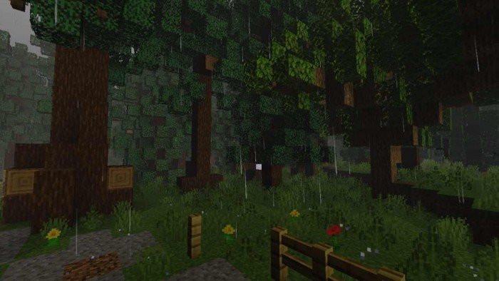 Дождливый лес