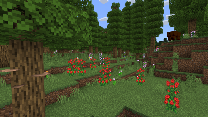 Лиственный лес