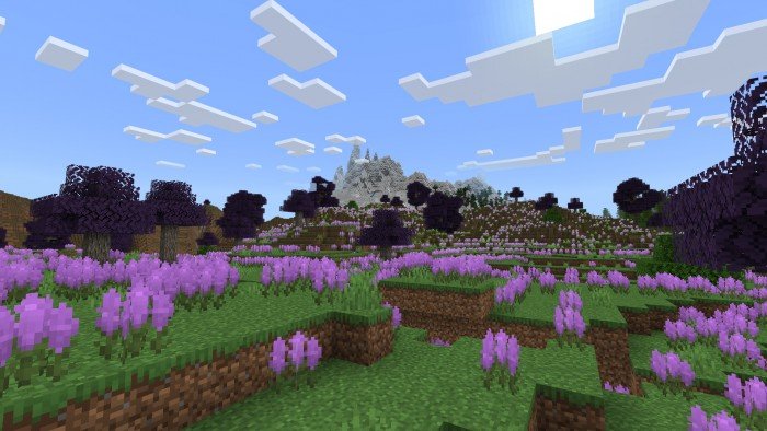 Лавандовые равнины