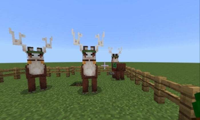 Рождественская лама