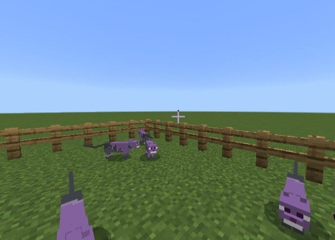 Цветные коты