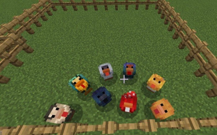 Куры разных цветов