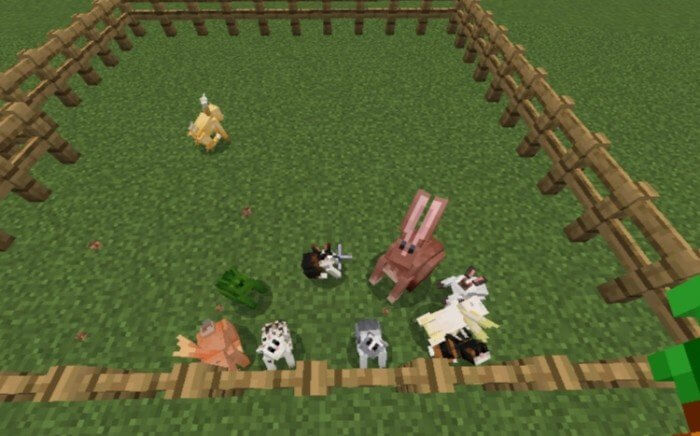 Кролики разных цветов