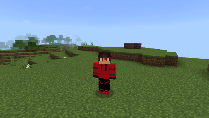 Вид спереди