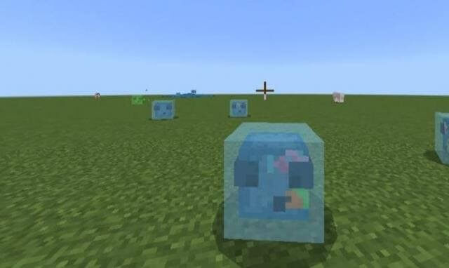 Тропический слизень