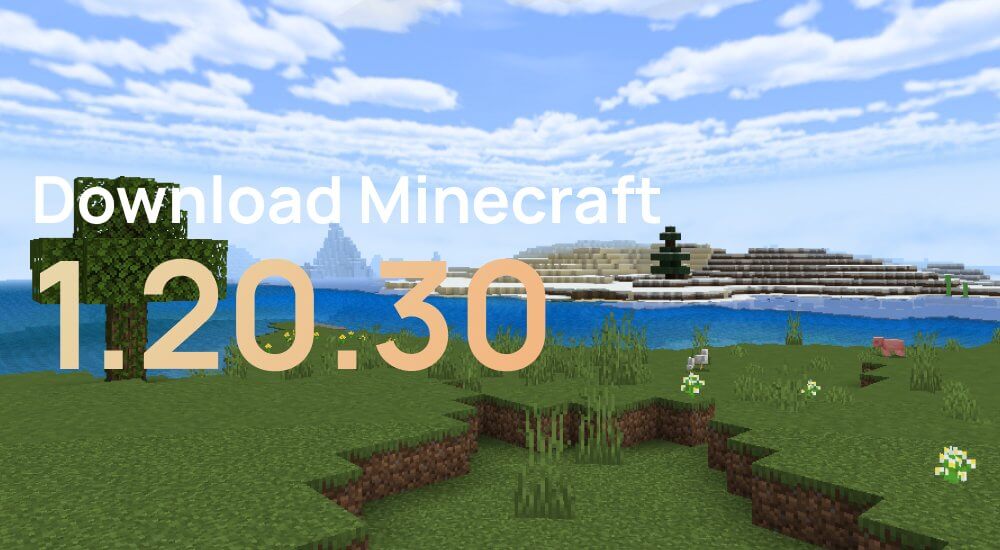 Article Minecraft PE 1.20.30