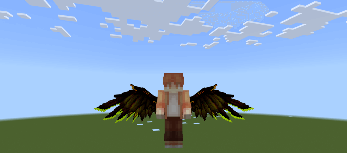 Крылья на игроке